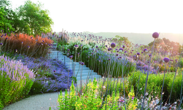 Photo of the museum garden.