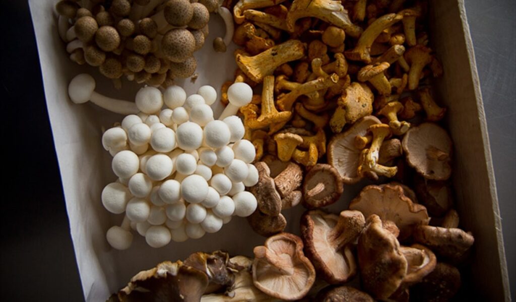 Cooking with Mushrooms at Morso Vegan