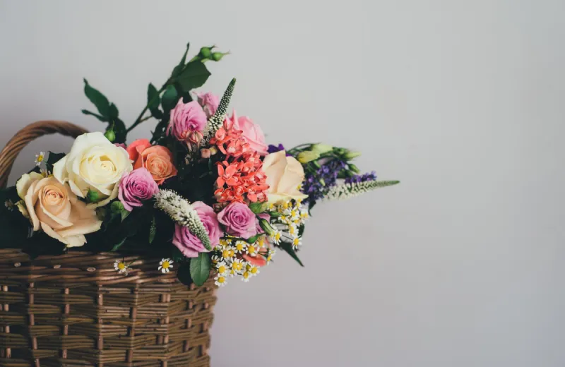 Mrs Dalloway