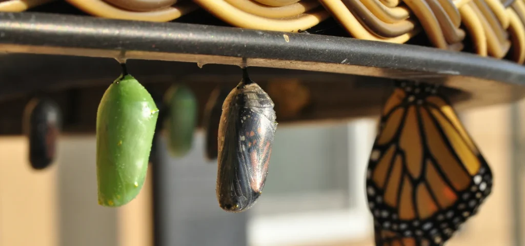 What's a Grown Up Anyway? at Rengen House