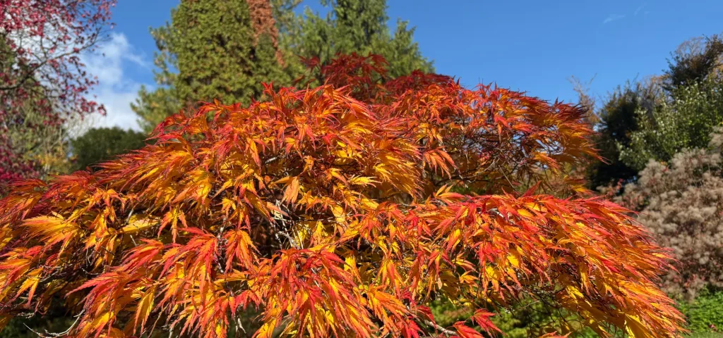 Parks and Gardens Run through Bath