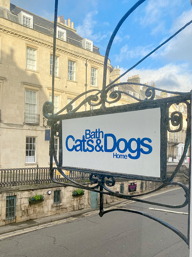 Bath Cats and Dogs Home