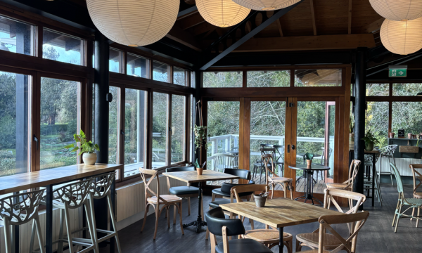 Treetop Cafe